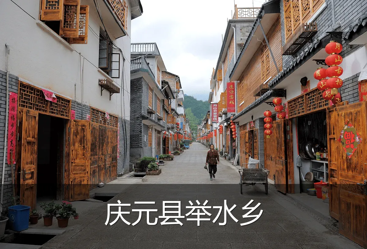 庆元县举水乡