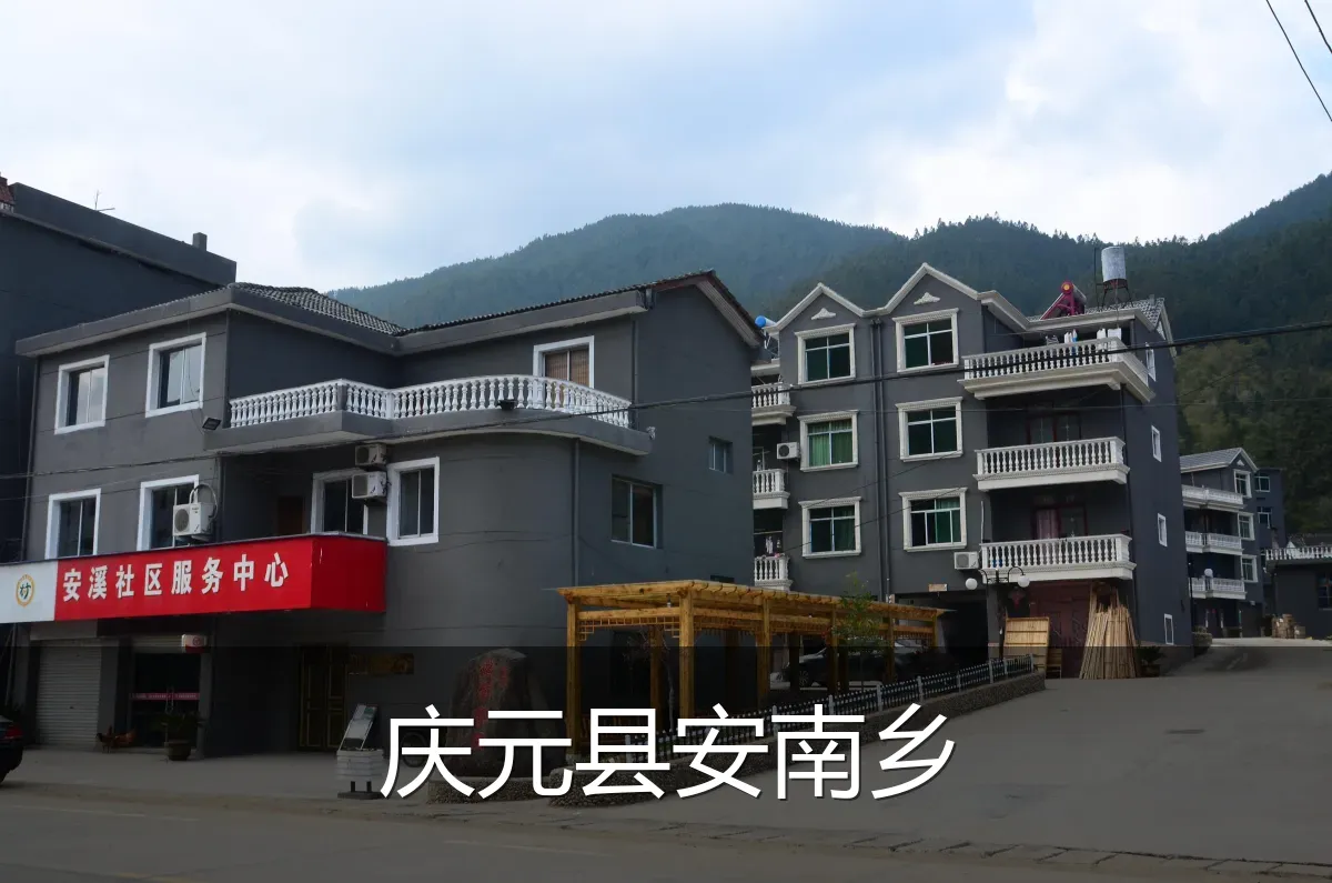 庆元县安南乡