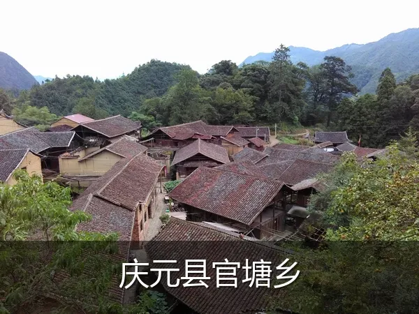 庆元县官塘乡