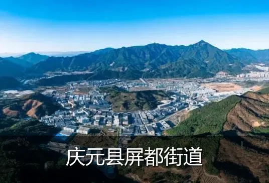 庆元县屏都街道