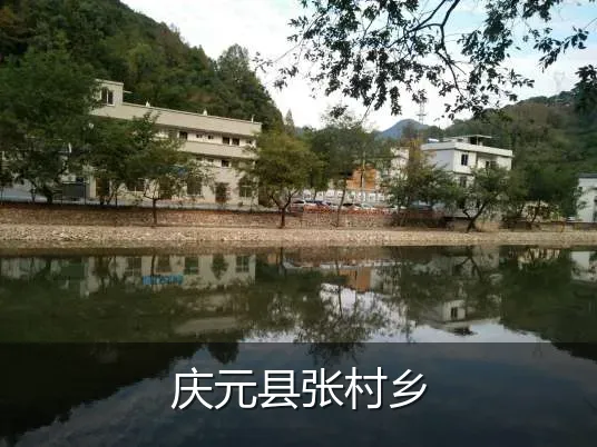 庆元县张村乡