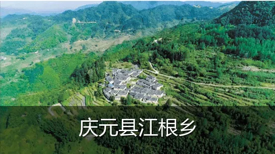 庆元县江根乡