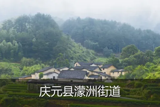 庆元县濛洲街道