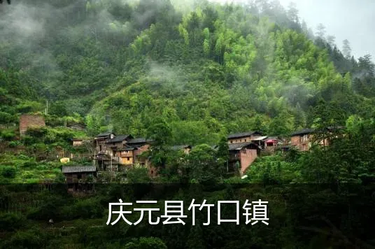 庆元县竹口镇
