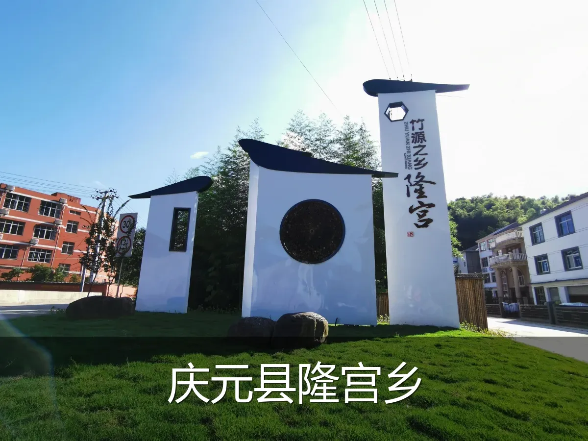 庆元县隆宫乡