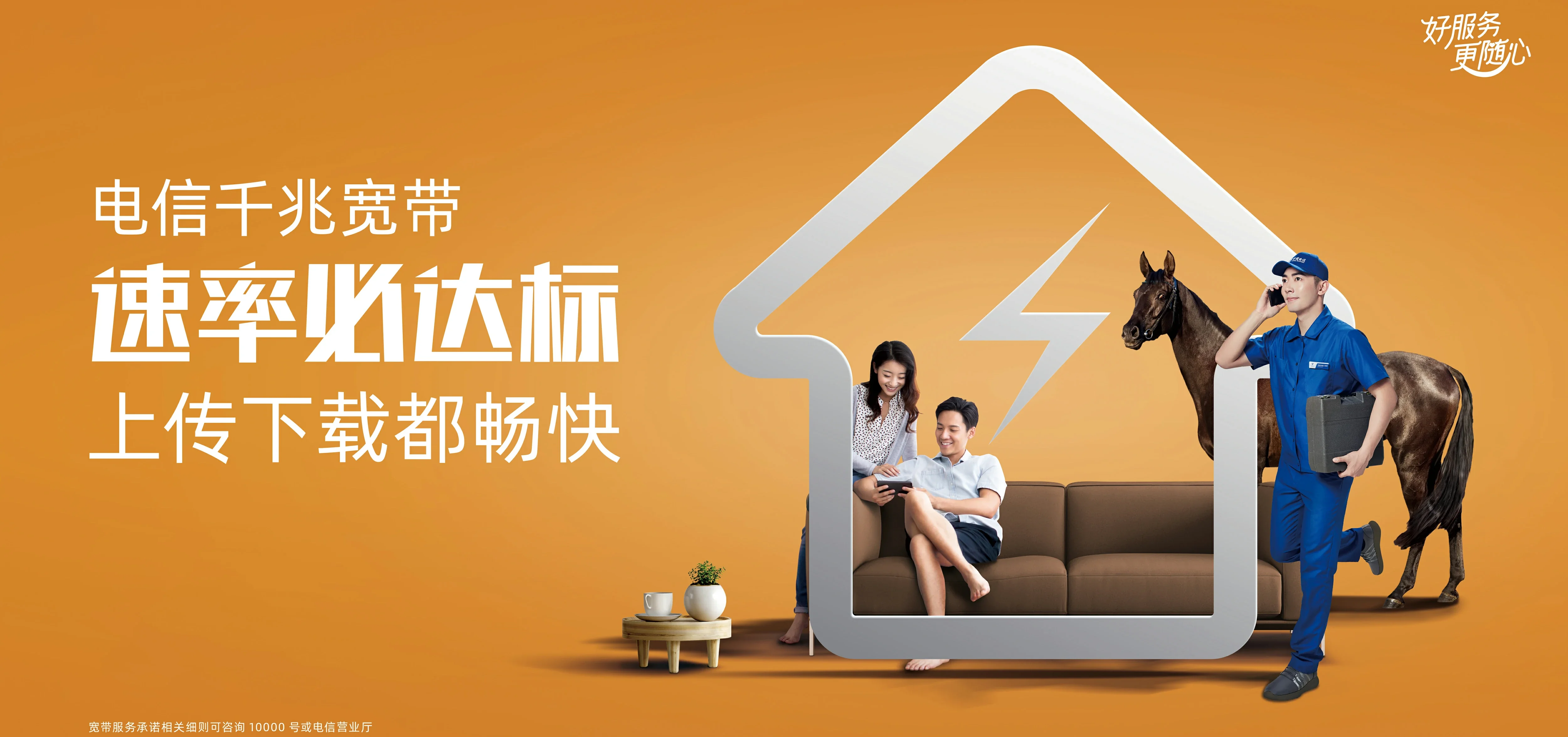中国电信 庆元县电信宽带 宽带套餐
